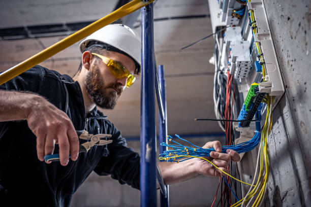 Best Electric Panel Repair  in Tutwiler, MS