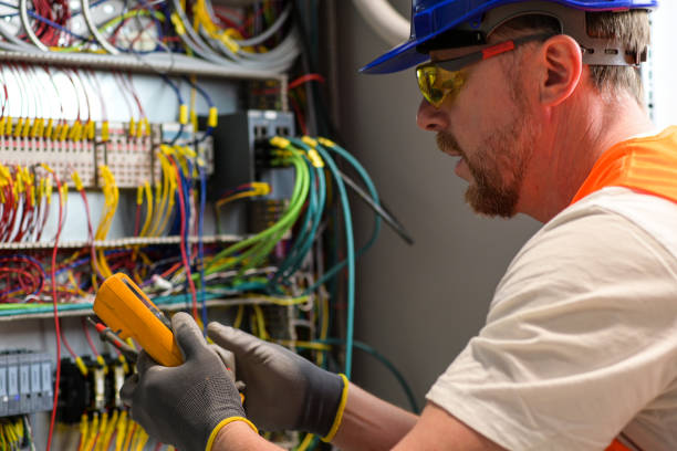 Best Electric Panel Repair  in Tutwiler, MS